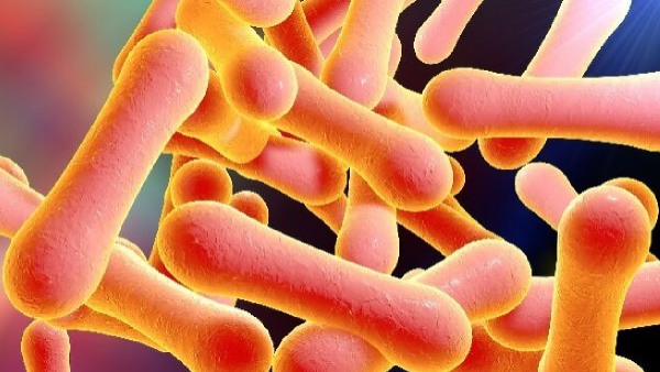 diphtheria