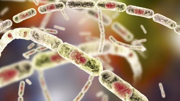 outbreaks