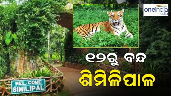 Shimilipal forest