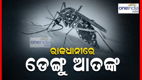Dengue panic