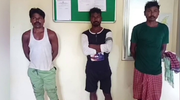 3 brothers arrested