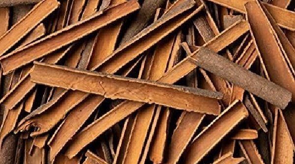 Cinnamon Dalchini