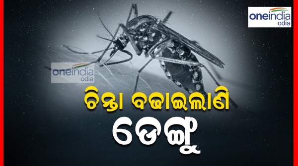 Dengue in odisha