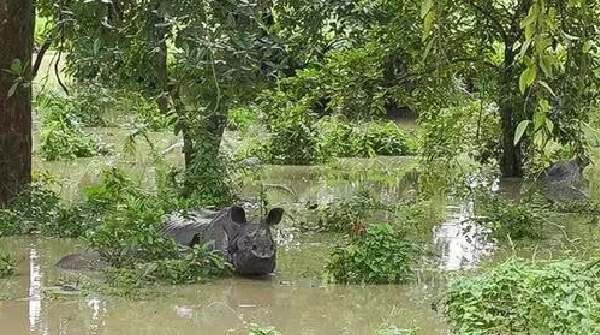 Assam flood