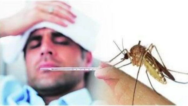 dengue