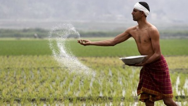 pradhan mantri fasal bima yojana