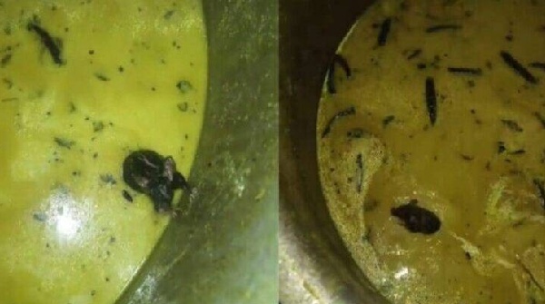 Rat found swimming in chutney
