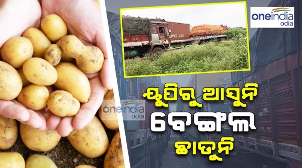 potato prices potato prices