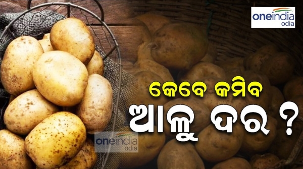 potato prices