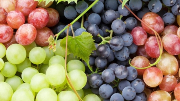 Grapes keep blood pressure balanced