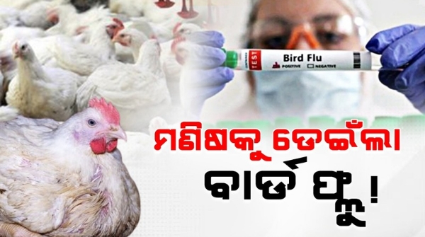 Bird flu jumps to humans