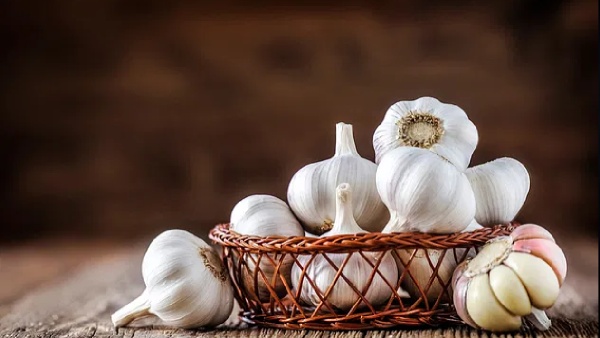 garlic