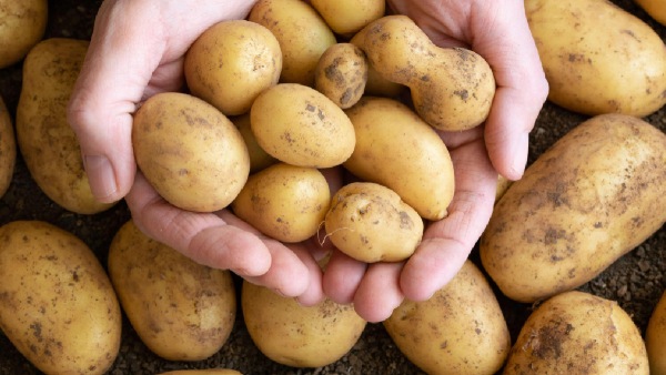 potatoes