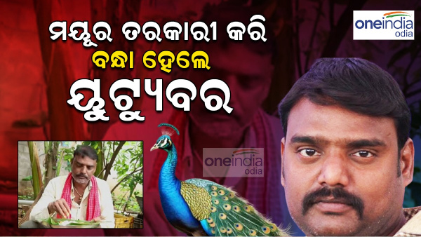 Peacock Curry viral news