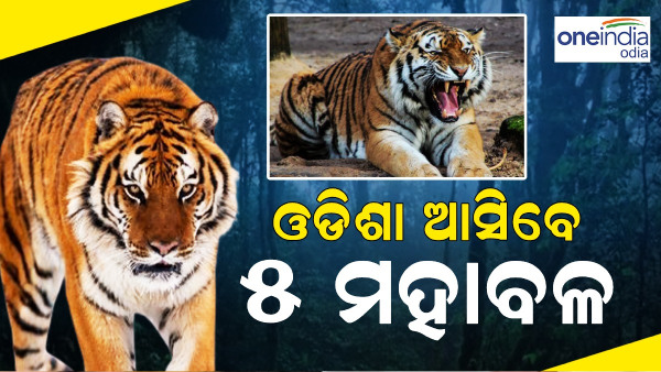 Odisha News