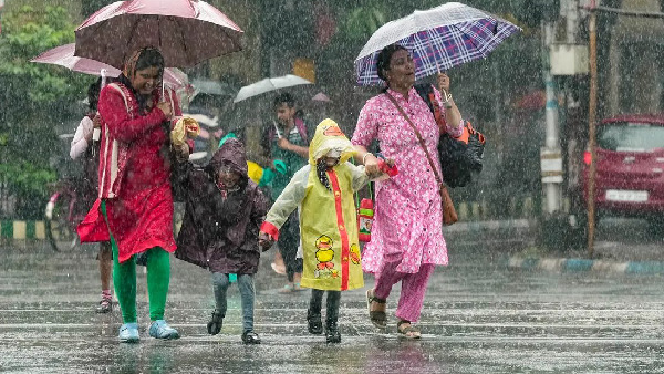 Heavy Rain In Odisha