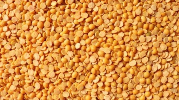 pulses for the beauty