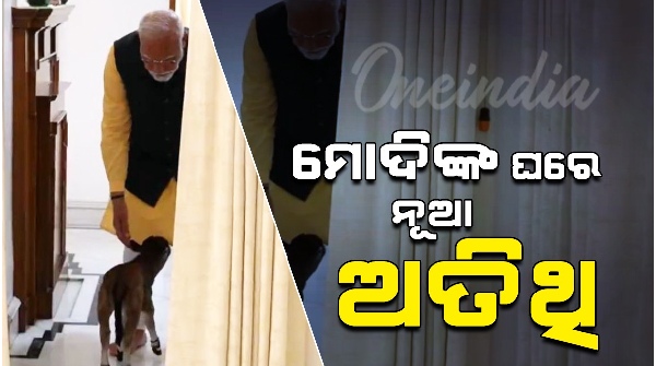 PM Modi Is Hosting A Cute Guest