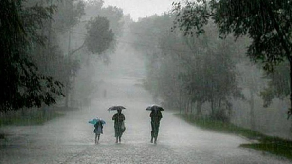 rain