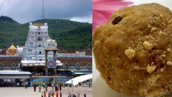 Tirupati Temple Ladu Tirupati Temple Ladu