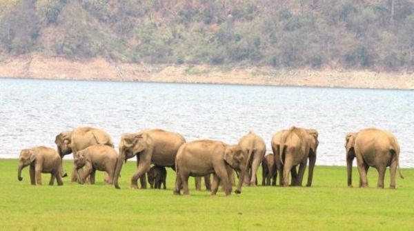 Wildlife Habitats
