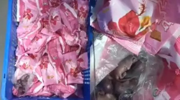 Siddhivinayak Siddhivinayak Temple Denies Rat