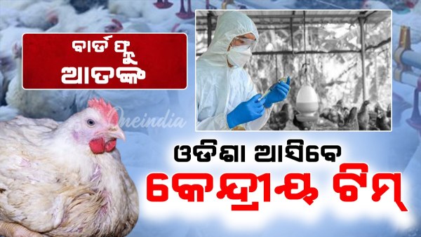 Bird flu