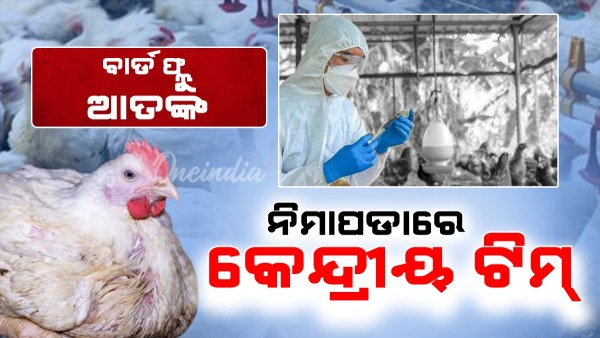 Bird Flu