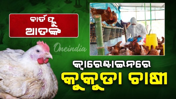 Bird flu