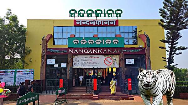 nandankanan