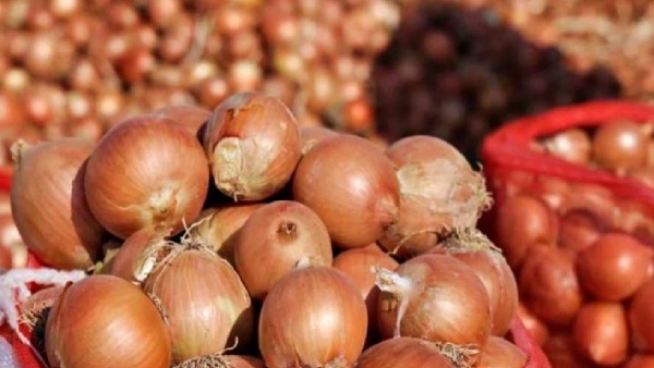 onion prices