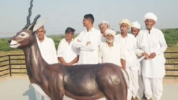 Salman Khan s Blackbuck hunting case