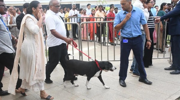 Ratan Tata s dog Goa visits pay homage
