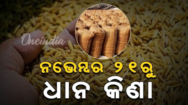 Grain procurement
