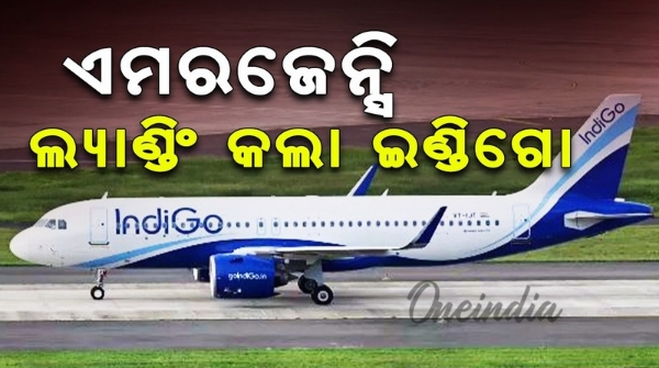 indigo