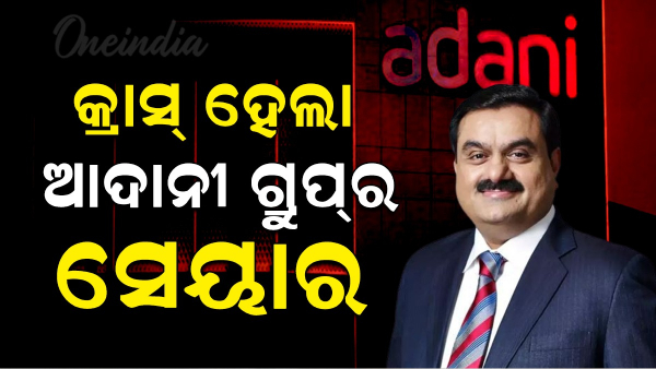Adani Group s share