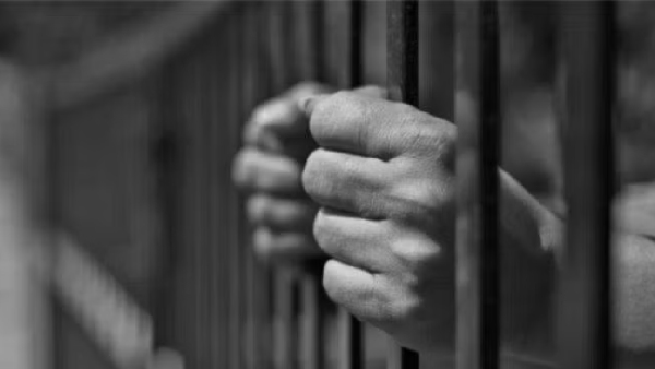 delinquency cases