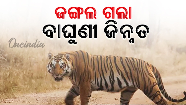 Odisha News