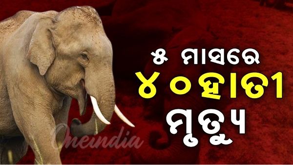Odisha News