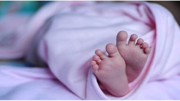 Newborn Baby Girl Rescued