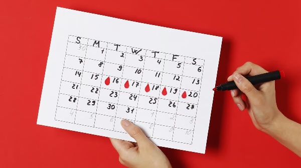 menstrual leave