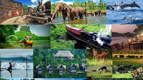 Sri Lanka s tourism