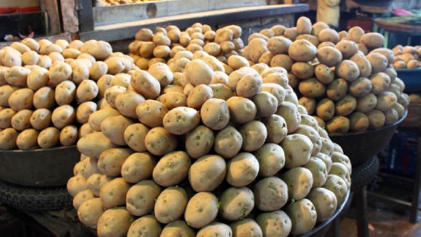 Potato