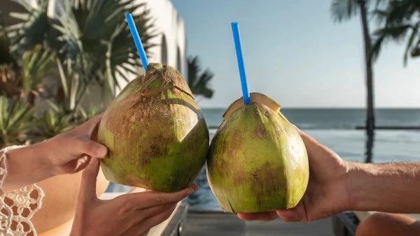 coconut water