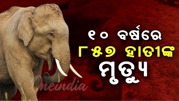 Odisha News