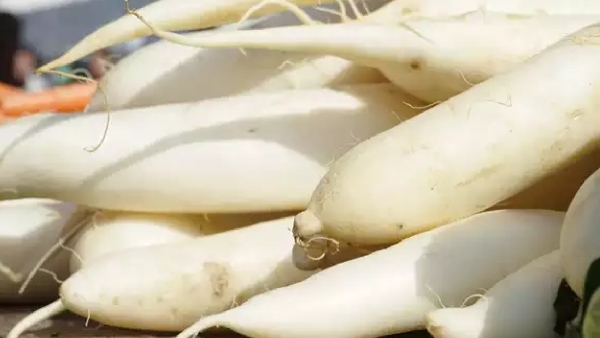 radish