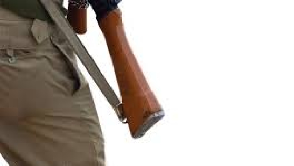 Gun