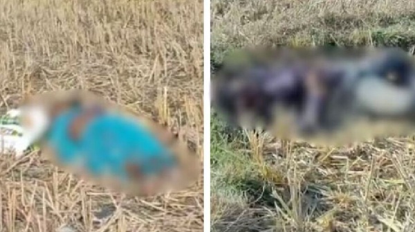 3 members of same family brutally murdered o