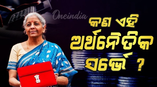 What is the Economic Survey Report