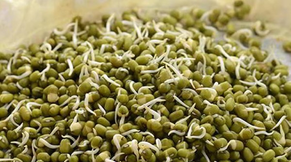 Health Benefits of Moong Sprouts